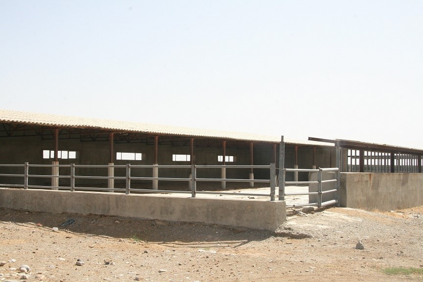 پایگاه تحقیقات گاو دشتیاری ایرانشهر