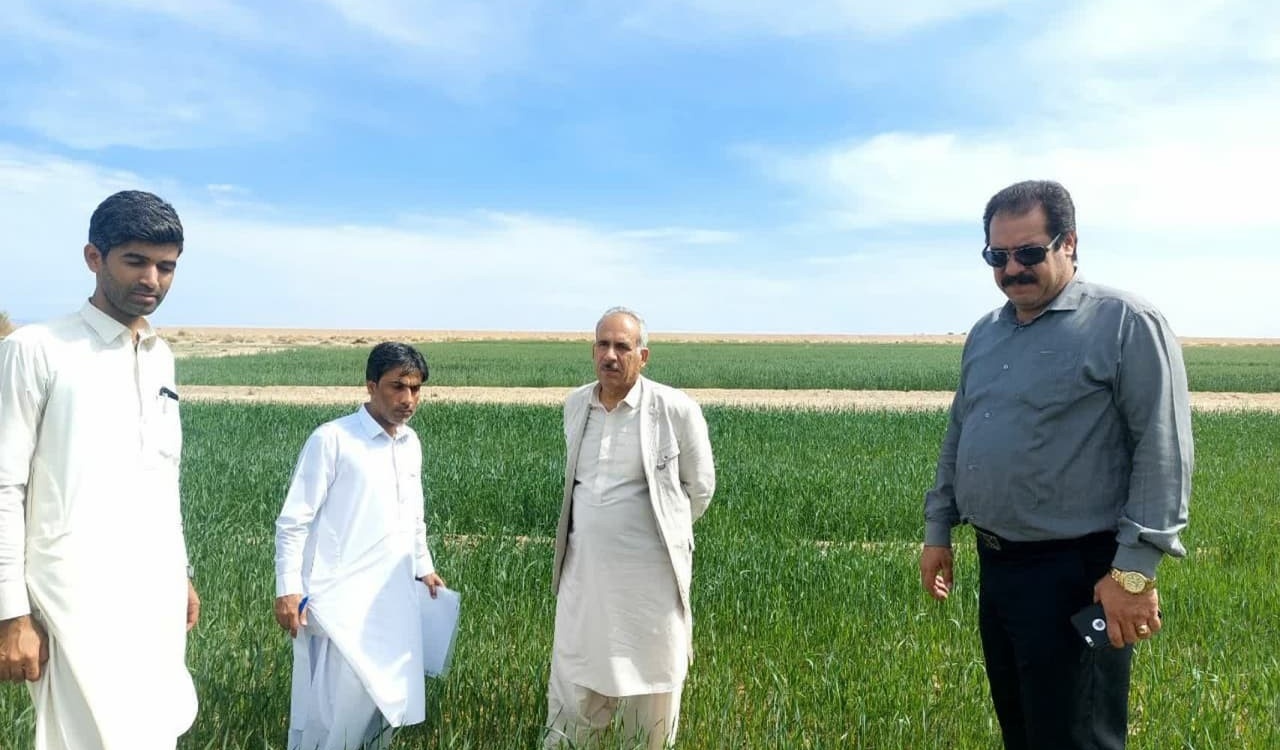 واحد تحقیقات ثبت و گواهی بذر و نهال