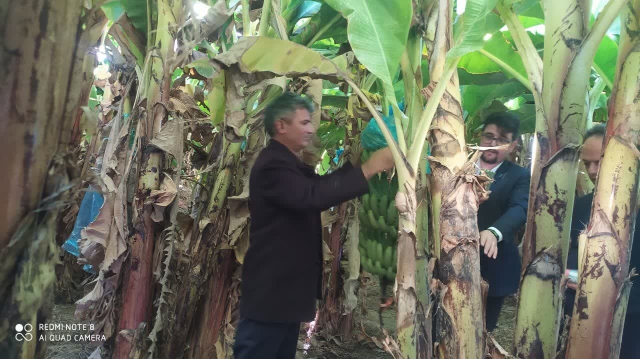 واحد تحقیقات ثبت و گواهی بذر و نهال