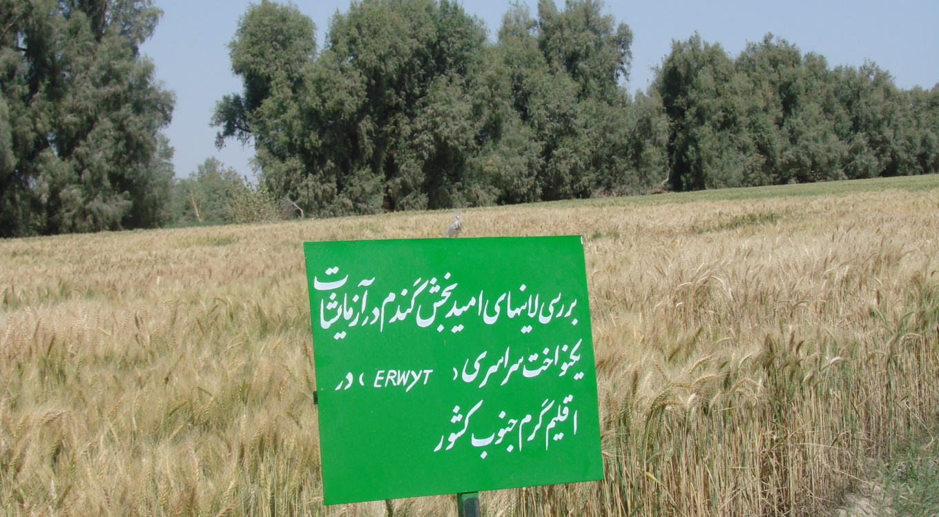 ایستگاه تحقیقات کشاورزی و منابع طبیعی بمپور