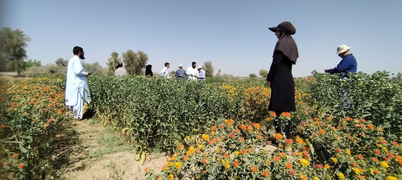 ایستگاه تحقیقات کشاورزی و منابع طبیعی بمپور