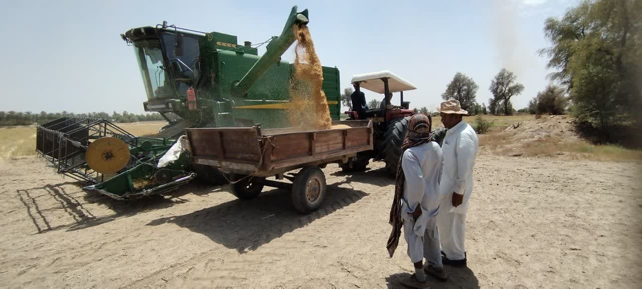 ایستگاه تحقیقات کشاورزی و منابع طبیعی بمپور