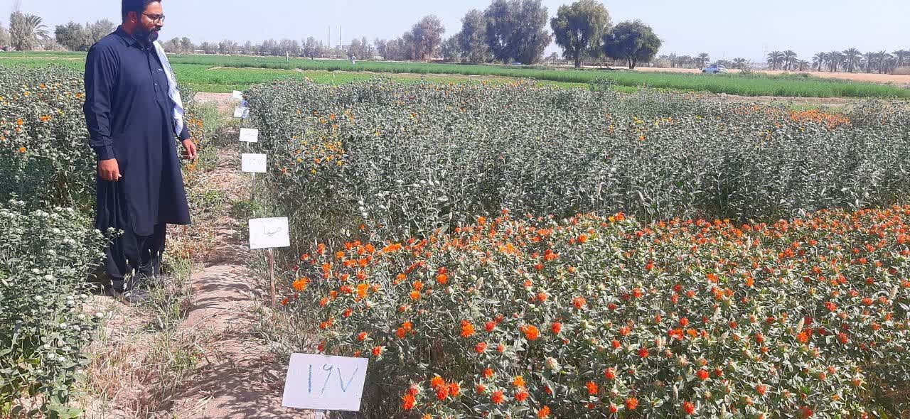 ایستگاه تحقیقات کشاورزی و منابع طبیعی بمپور