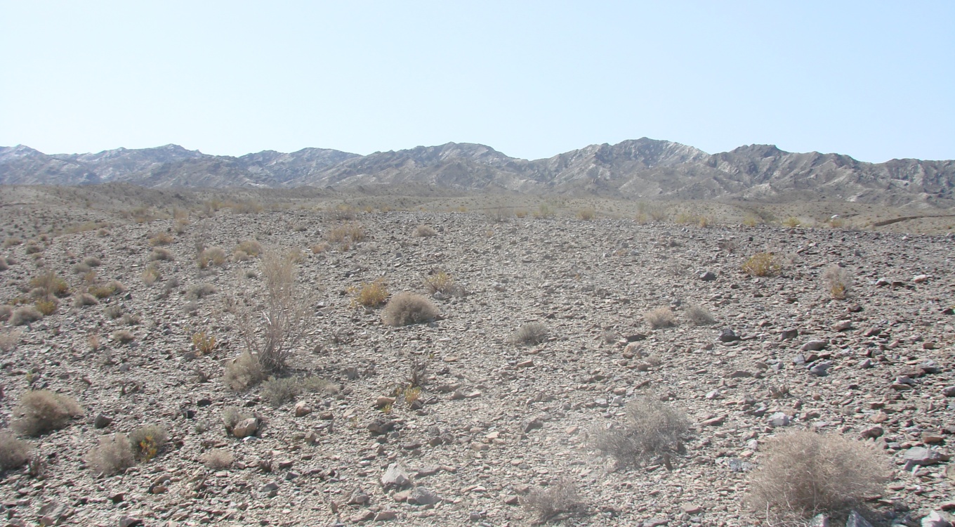 بخش تحقیقات جنگل ها و مراتع