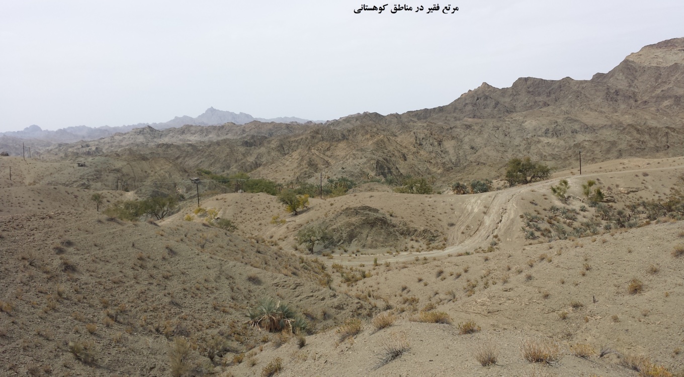 بخش تحقیقات جنگل ها و مراتع