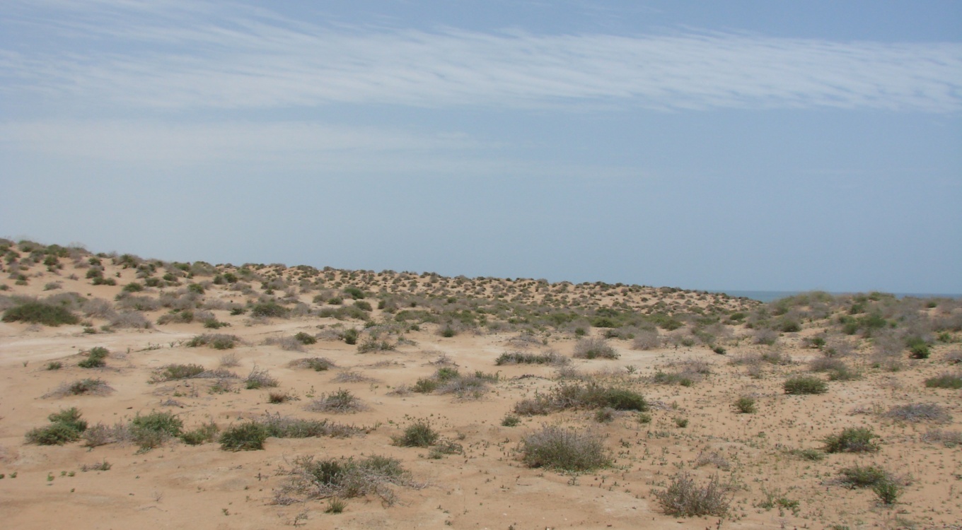 بخش تحقیقات جنگل ها و مراتع