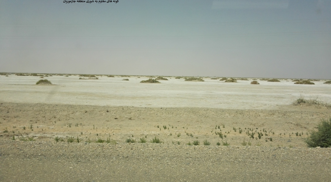 بخش تحقیقات جنگل ها و مراتع