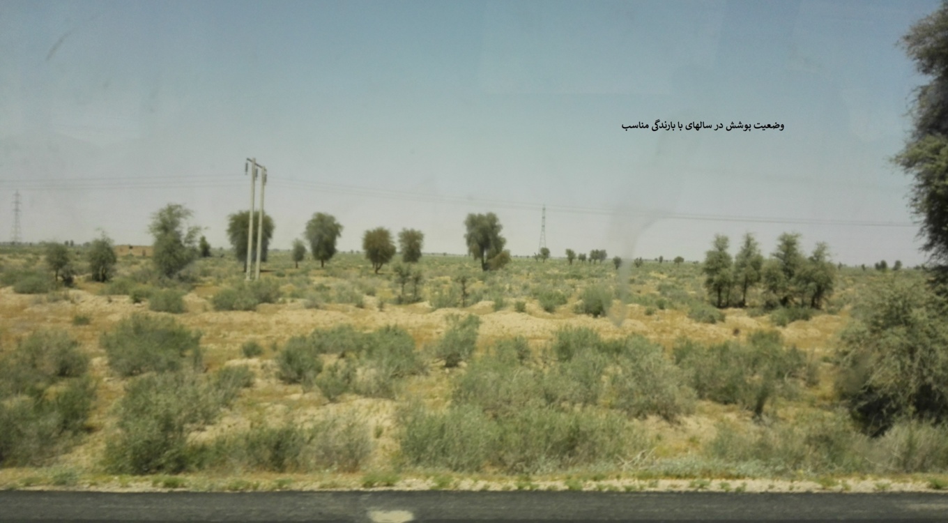 بخش تحقیقات جنگل ها و مراتع