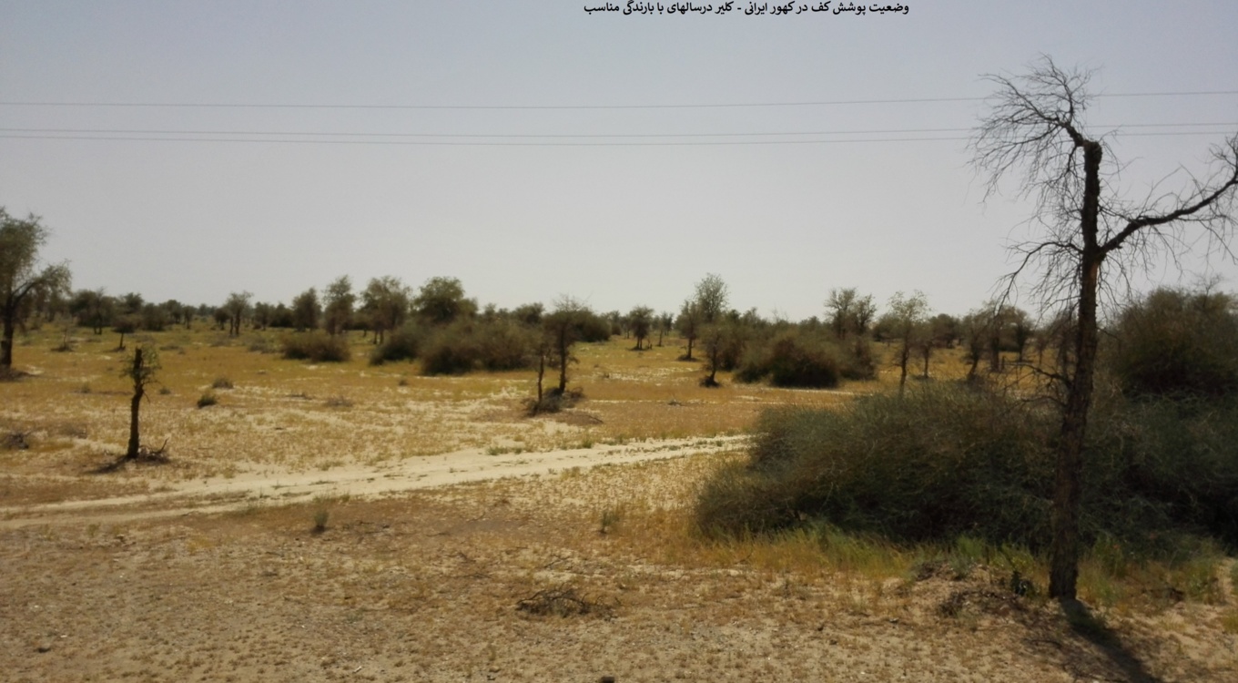 بخش تحقیقات جنگل ها و مراتع