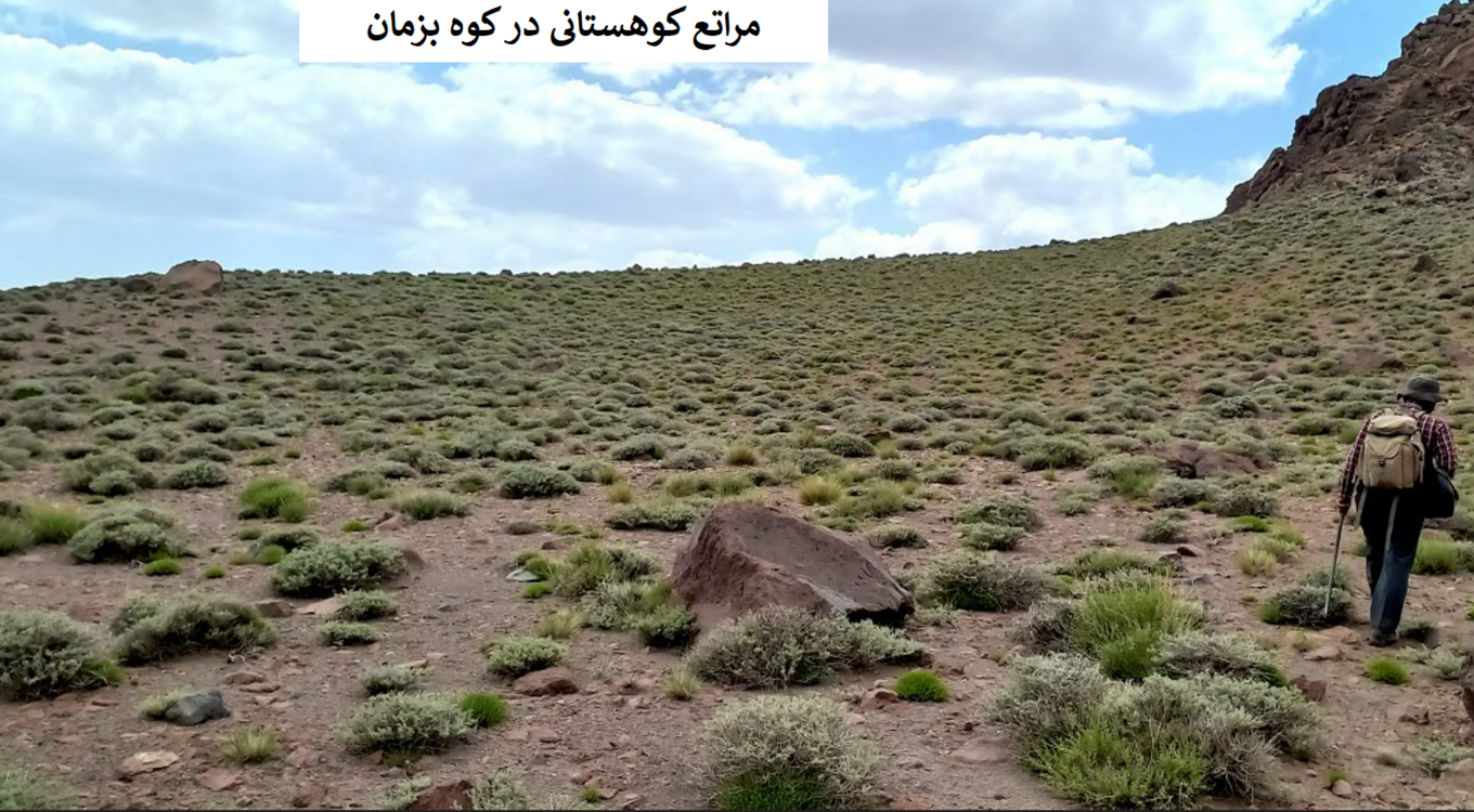 بخش تحقیقات جنگل ها و مراتع