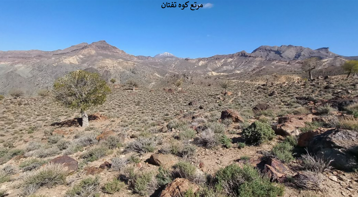 بخش تحقیقات جنگل ها و مراتع