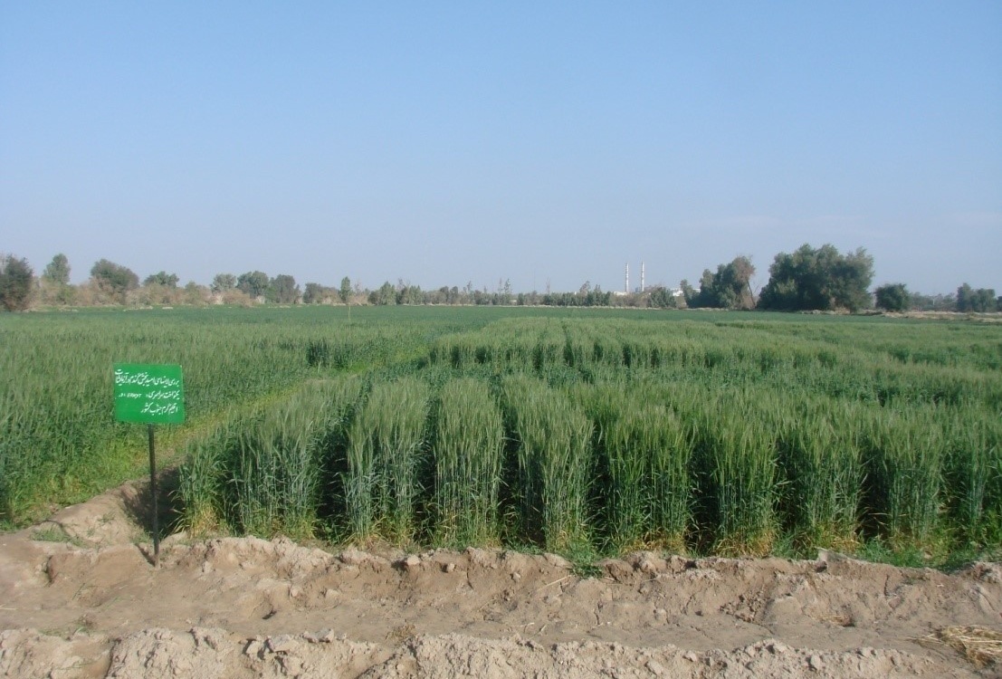 بخش تحقیقات زراعی و باغی