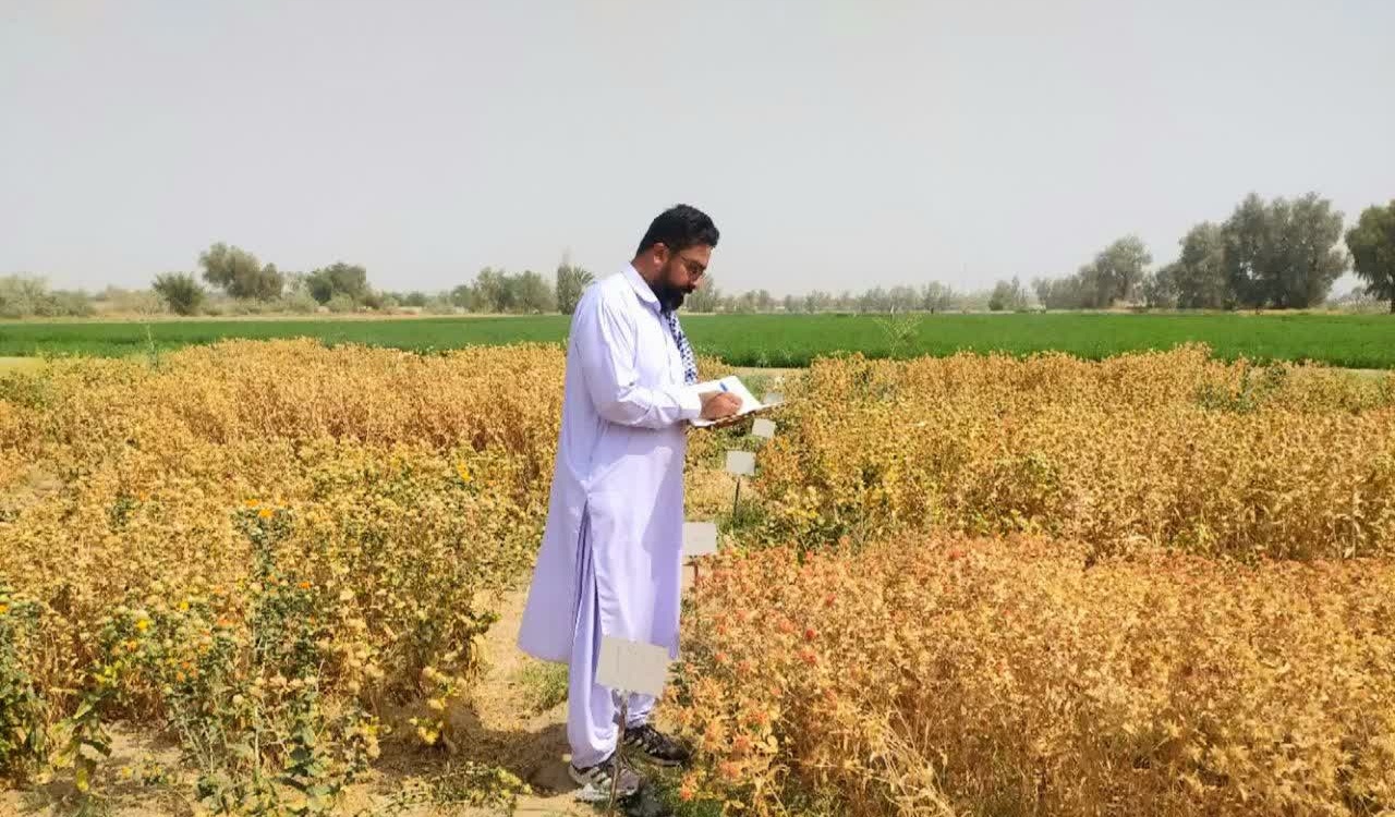 بخش تحقیقات زراعی و باغی