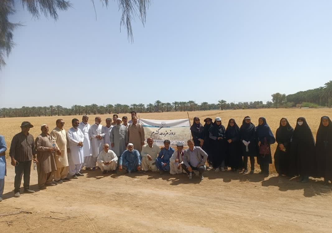 بخش تحقیقات زراعی و باغی