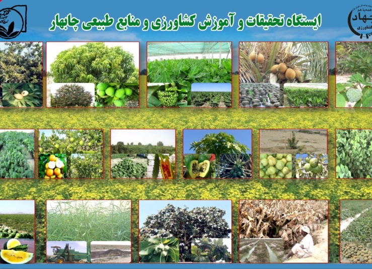 ایستگاه تحقیقات کشاورزی و منابع طبیعی چابهار