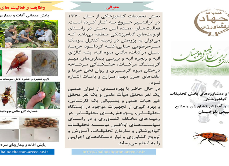 بخش تحقیقات گیاهپزشکی