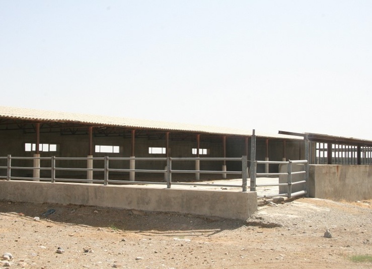 پایگاه تحقیقات گاو دشتیاری ایرانشهر