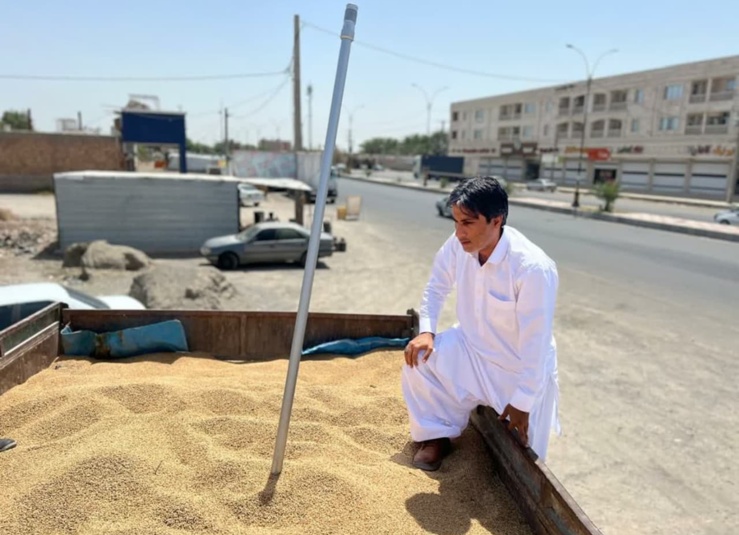 واحد تحقیقات ثبت و گواهی بذر و نهال