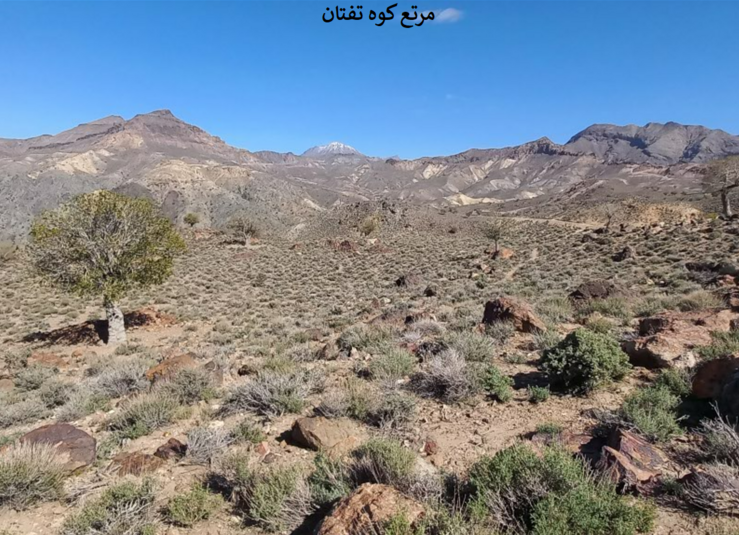 بخش تحقیقات جنگل ها و مراتع