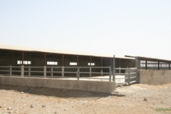 پایگاه تحقیقات گاو دشتیاری ایرانشهر