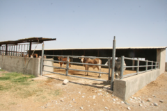 کلیپ آموزشی