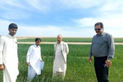 واحد تحقیقات ثبت و گواهی بذر و نهال