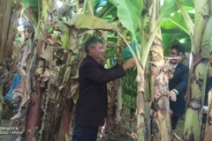 واحد تحقیقات ثبت و گواهی بذر و نهال