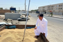 واحد تحقیقات ثبت و گواهی بذر و نهال