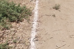 ایستگاه تحقیقات کشاورزی و منابع طبیعی بمپور