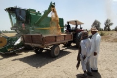 ایستگاه تحقیقات کشاورزی و منابع طبیعی بمپور