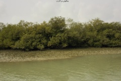 بخش تحقیقات جنگل ها و مراتع