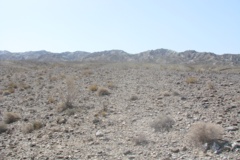 بخش تحقیقات جنگل ها و مراتع