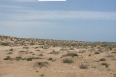 بخش تحقیقات جنگل ها و مراتع