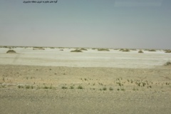 بخش تحقیقات جنگل ها و مراتع