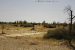 بخش تحقیقات جنگل ها و مراتع