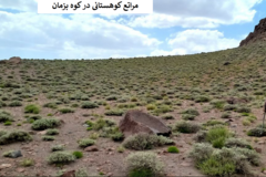 بخش تحقیقات جنگل ها و مراتع