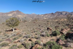 بخش تحقیقات جنگل ها و مراتع