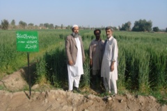 بخش تحقیقات زراعی و باغی