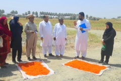 بخش تحقیقات زراعی و باغی