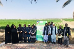 بخش تحقیقات زراعی و باغی