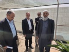 بازدید آقای دکتر میرجلیلی معاون آموزش موسسه آموزش و ترویج کشاورزی از گلخانه پردیس چابهار
