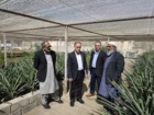 بازدید آقای دکتر میرجلیلی معاون آموزش موسسه آموزش و ترویج کشاورزی از گلخانه پردیس چابهار