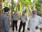 بازدید از اراضی کشت موز ایستگاه باهوکلات چابهار