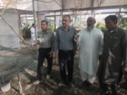 بازدید مسئولان سازمان تحقیقات آموزش و ترویج کشاورزی، از طرح‌های تحقیقاتی و گلخانه تولید نهال در ایستگاه باهوکلات