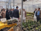 افتتاح گلخانه تحقیقاتی و پروژه حصارکشی ایستگاه تحقیقات کشاورزی بمپور