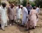 آغاز عملیات انتقال نهال های کشت بافتی خرمای رقم مجول از گلخانه به زمین اصلی