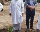 آغاز عملیات انتقال نهال های کشت بافتی خرمای رقم مجول از گلخانه به زمین اصلی