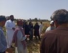 روز انتقال یافته های تحقیقاتی گلرنگ در ایستگاه تحقیقات و آموزش کشاورزی و منابع طبیعی بمپور