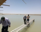 برنامه انتقال علمی با عنوان مدیریت بهینه مزارع پرورش میگو در مجتمع گواتر چابهار