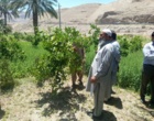 برگزاری روز مزرعه مرکبات و یونجه در شهرستان ایرانشهر